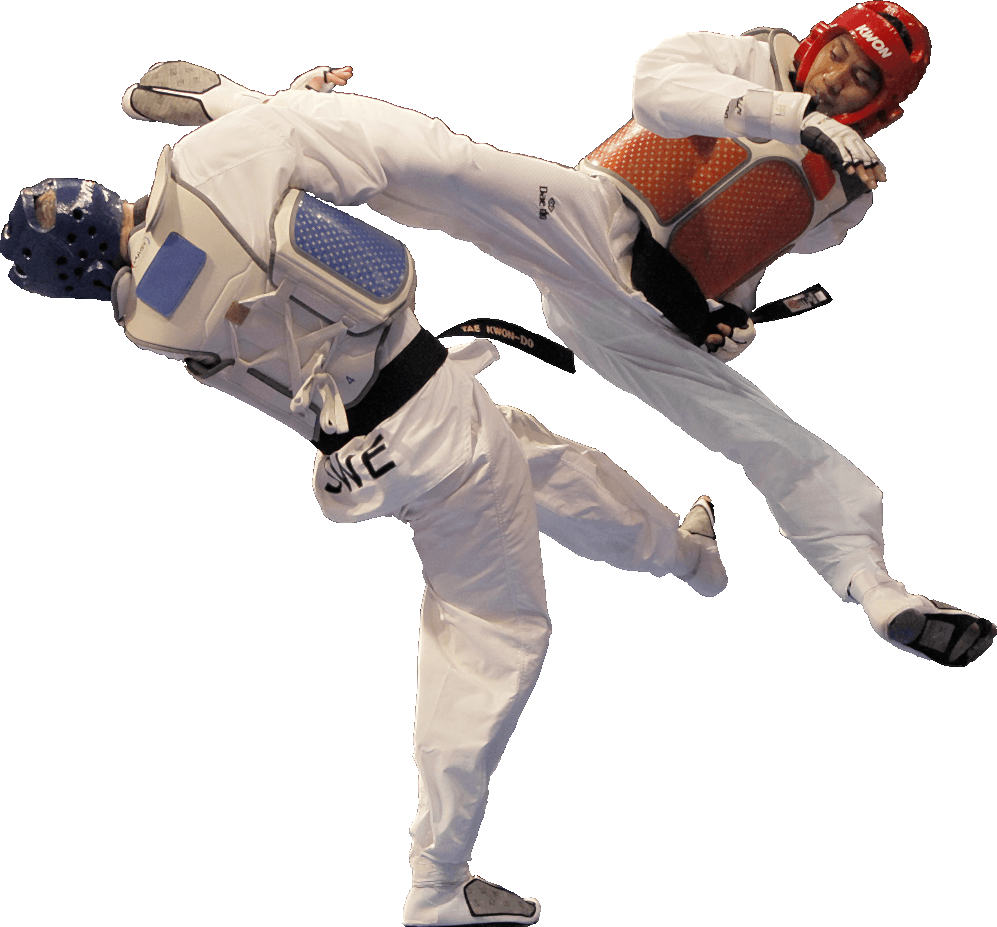 tkd Удары ногами в тхэквондо видео